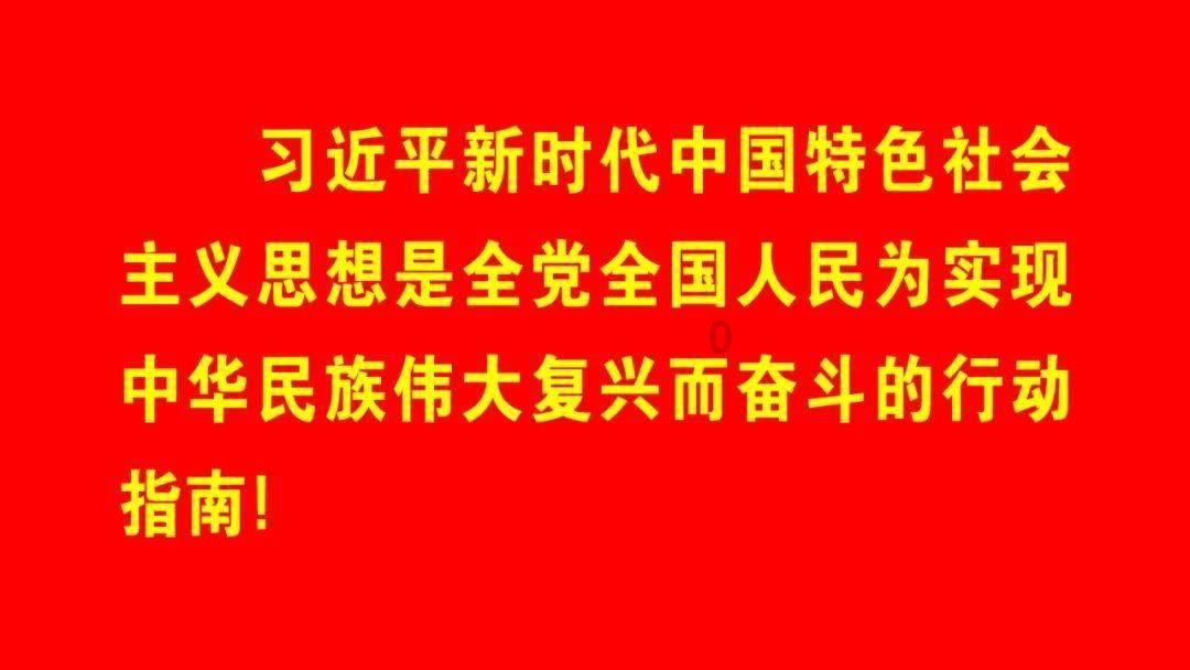 可爱小猫向上跳