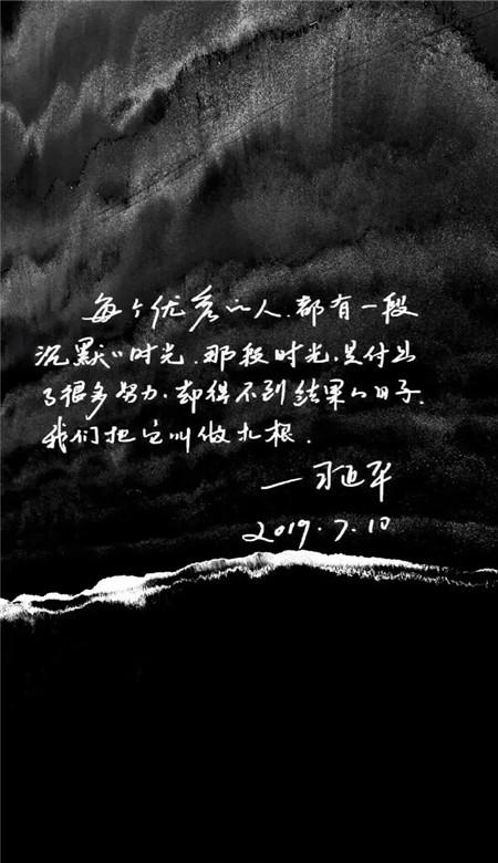 超120匹顶级种公马的1125匹子嗣列阵：2024新西兰周岁纯血马拍卖会！
